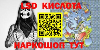 прущие крисы Гусев